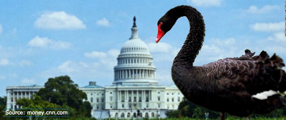 Flight of the Black Swan 