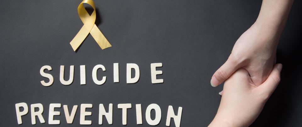 Working Together to Prevent Suicide