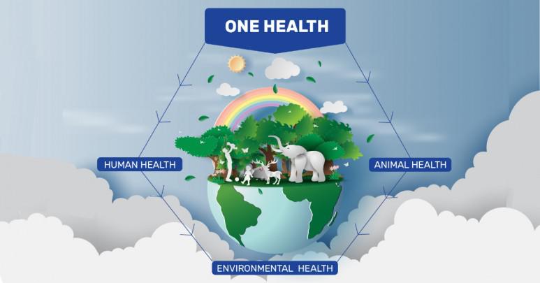 Adopting the One Health Approach in the Tropics
