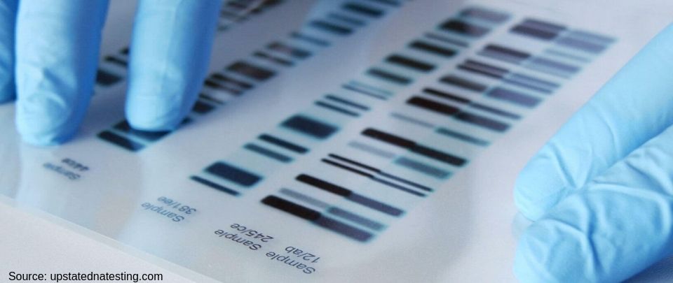 DNA Tests to Address Unconscious Bias