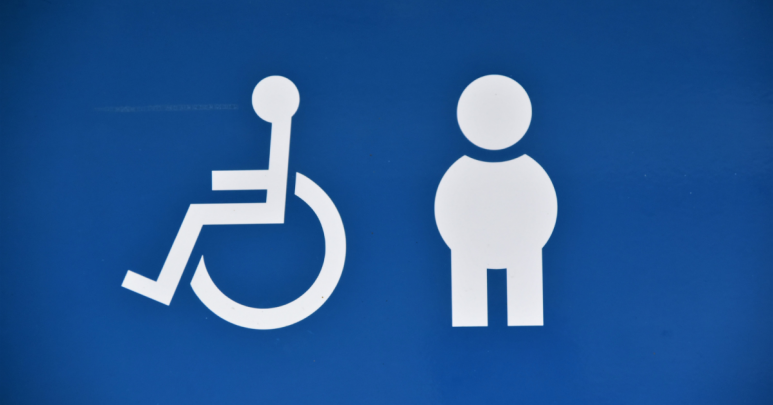 Popek Popek Parlimen: Online Registration System For Disabled Persons