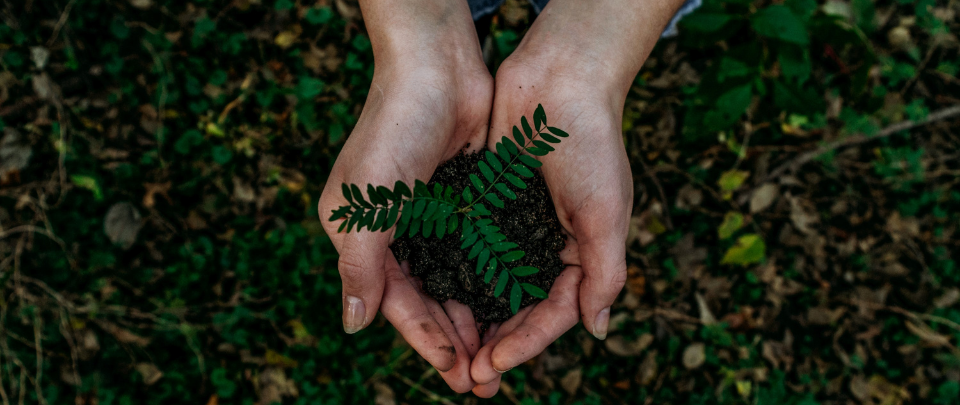 Amplifying Youth Voices In Climate Action