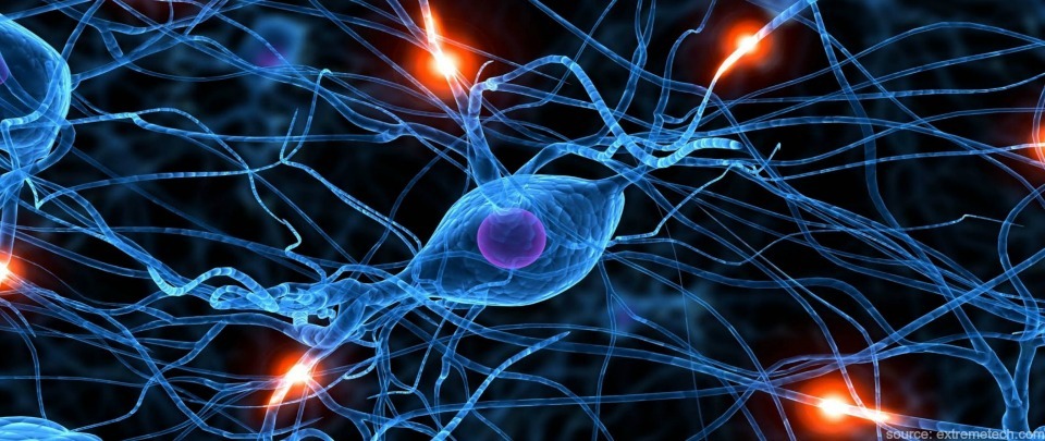 Brain Waves #1: Neuro-’jean’-etics