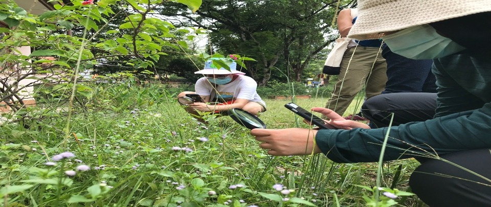 The Biodiversity Around Us