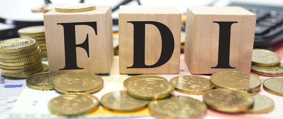 Does Budget 2021 Help The FDI Fight?