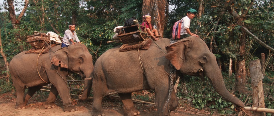 Need A Ride? Use e-Hailing, Not Elephants