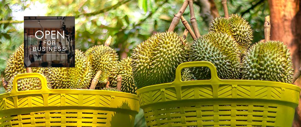 Have Durian, Will Travel