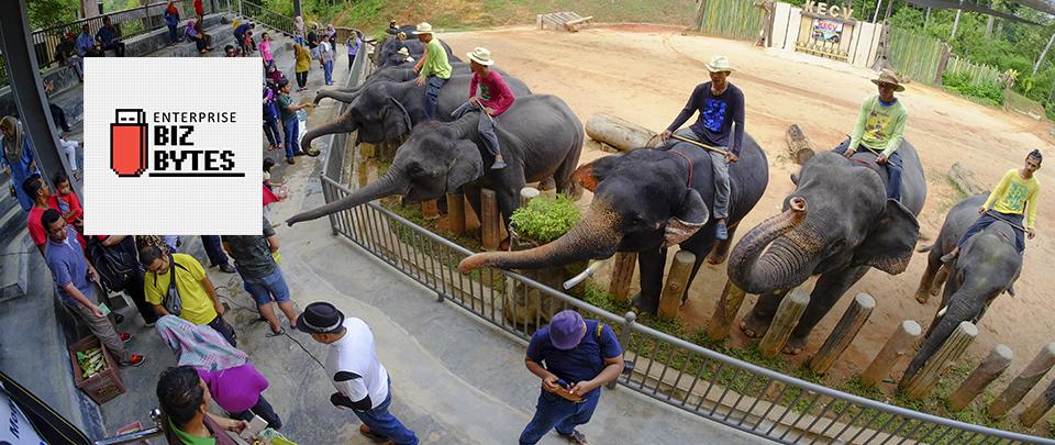 Lazada’s Virtual Zoo Negara Tour