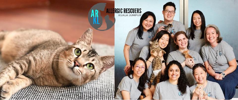 Allergic Rescuers KL: Helping Strays Find Their Fur-ever Home