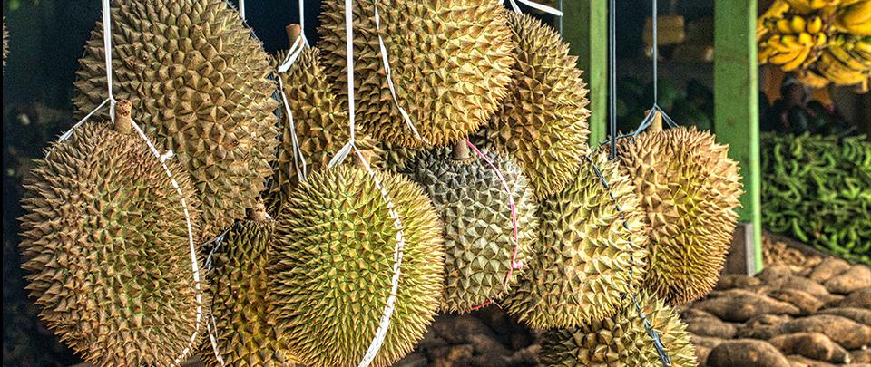 Penang Durian Sellers Go Online