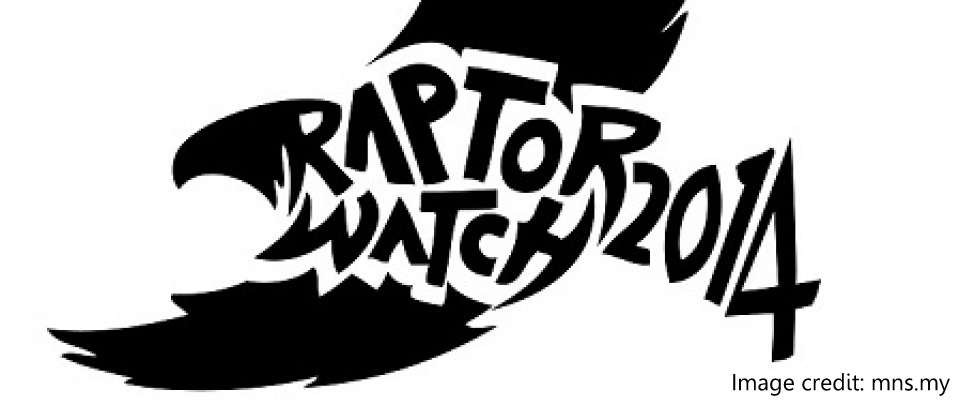 Raptor Watch 2014